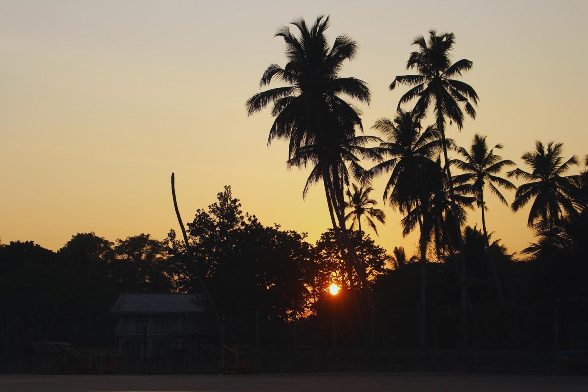 Calma - Surf, Yoga & Coffee On A Private Beach 迪克韦勒 外观 照片