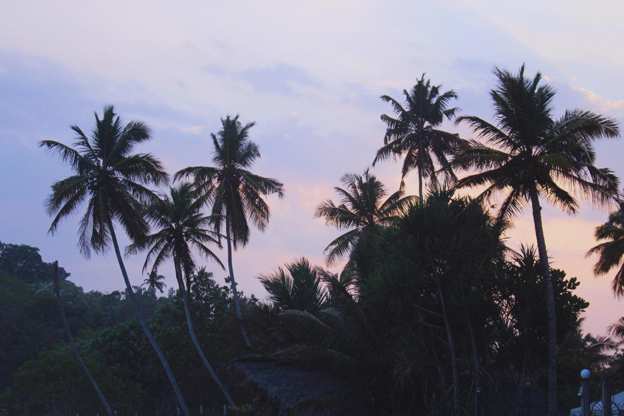 Calma - Surf, Yoga & Coffee On A Private Beach 迪克韦勒 外观 照片