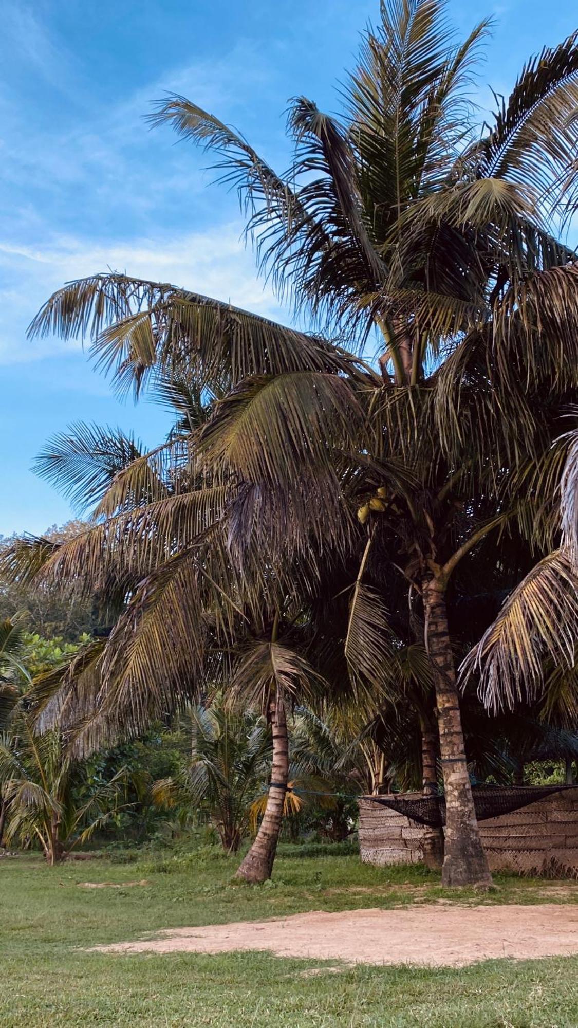 Calma - Surf, Yoga & Coffee On A Private Beach 迪克韦勒 外观 照片