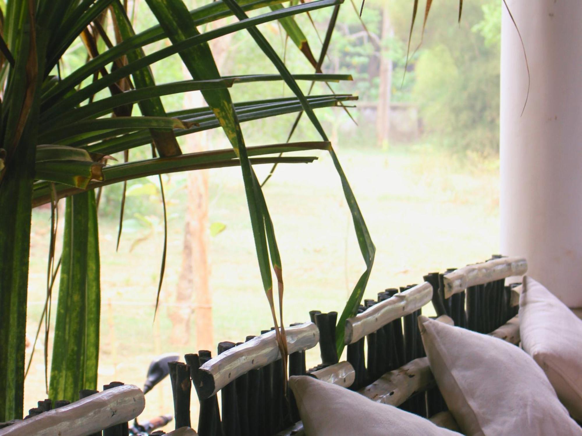 Calma - Surf, Yoga & Coffee On A Private Beach 迪克韦勒 外观 照片
